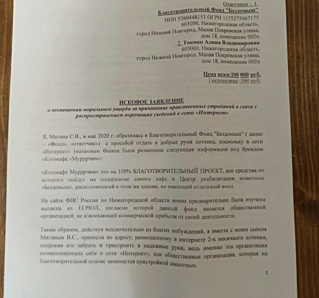 В Нижнем Новгороде женщина сбагрила питомца в котокафе и обиделась на его владельцев — теперь сама заплатит 200 тыс