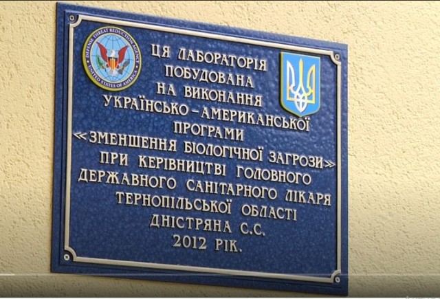 Референдумы в ДНР и ЛНР признали состоявшимися