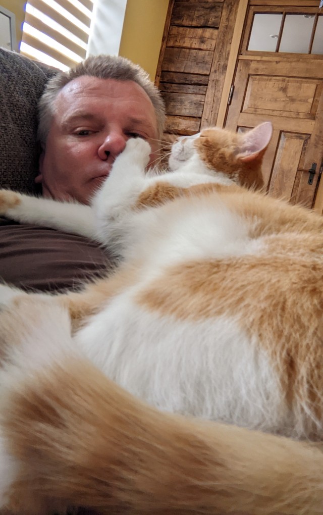 А как вы спите с котиком?