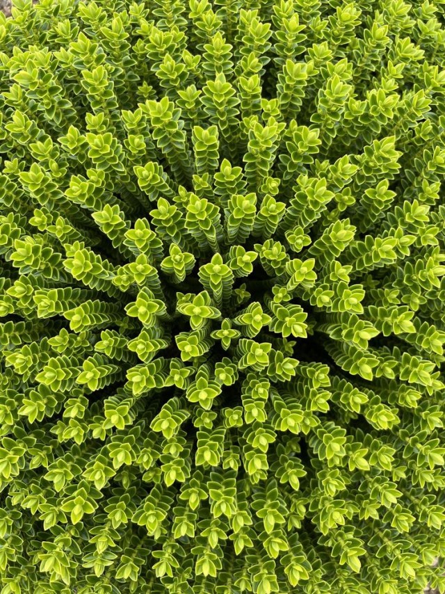 16 фотографий знакомых вещей, необычный ракурс которых делает их почти неузнаваемыми