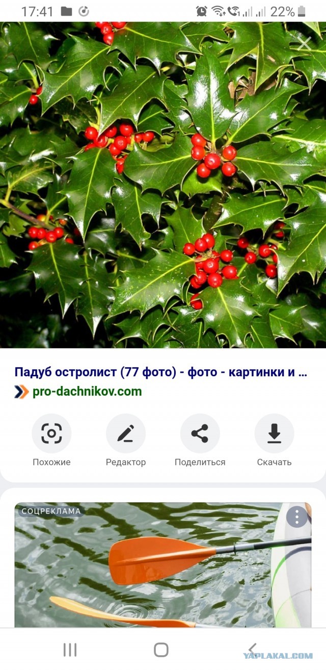 Странная женская натура. Вам для чего это надо?