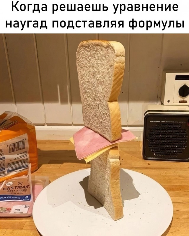 Весёлый полтишок 04.11.22