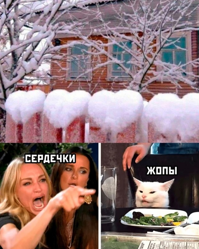 Картинки и мемы для настроения - 119