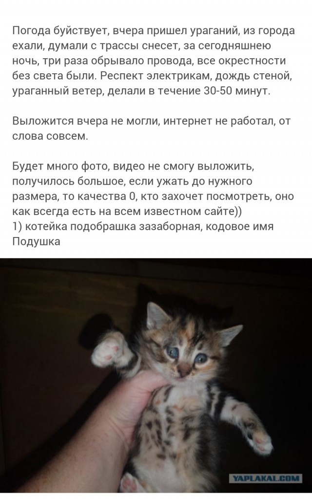 Подумываю продаться в рабство