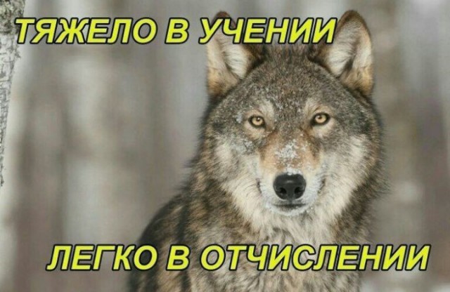 Всего понемногу. От 15.12.23