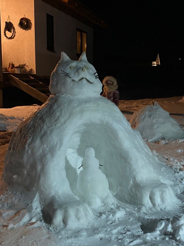 Котики из снега и котики на снегу