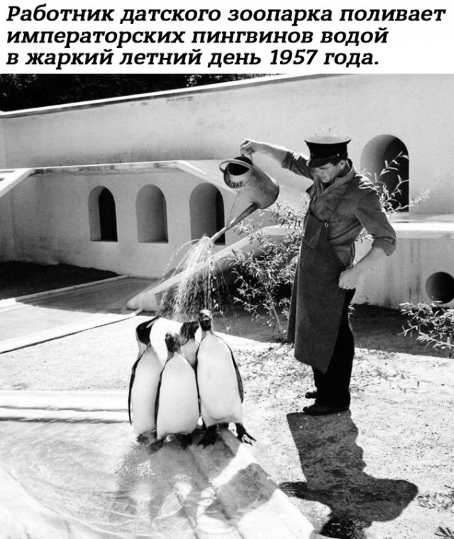 Небольшая подборка истрических фото (06.06)