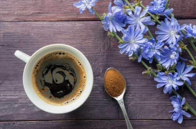 Советский цикорий: не просто дешевый аналог кофе