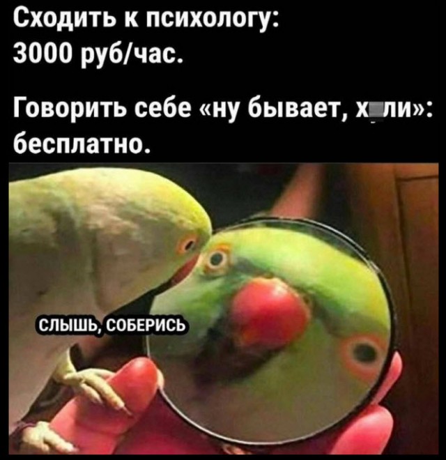 Отборные баяны 10-летней выдержки vol. 3