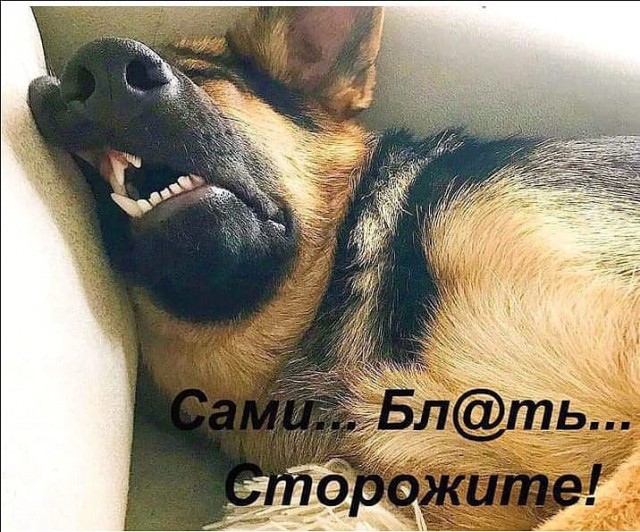 Так себе картинки 30.10.24