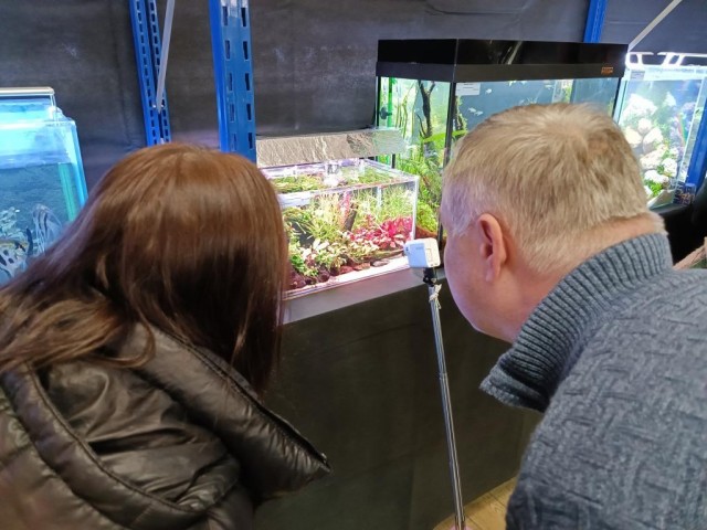 Выставка клуба "Русские Аквариумы" 2025