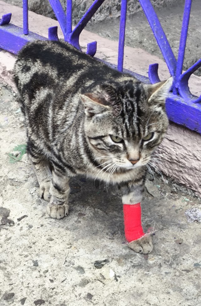 Косоглазый Смайлик