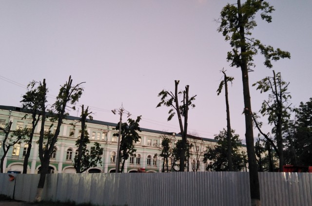 Зелёный Воронеж
