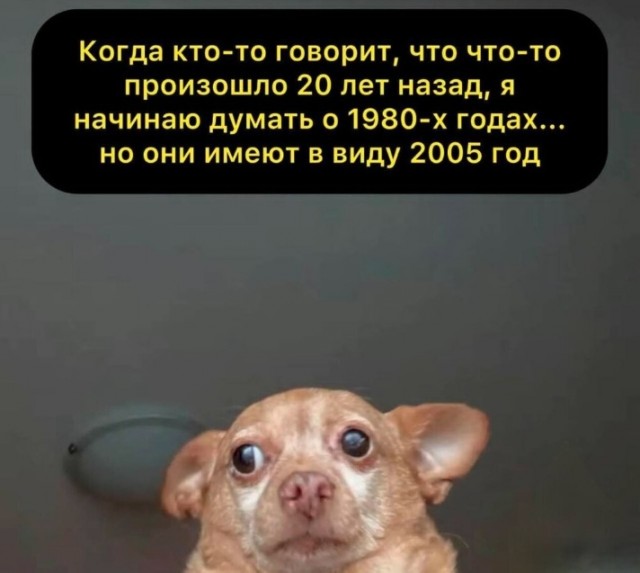 Так себе картинки 03.08.25