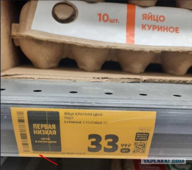 Пришла беда, откуда не ждали