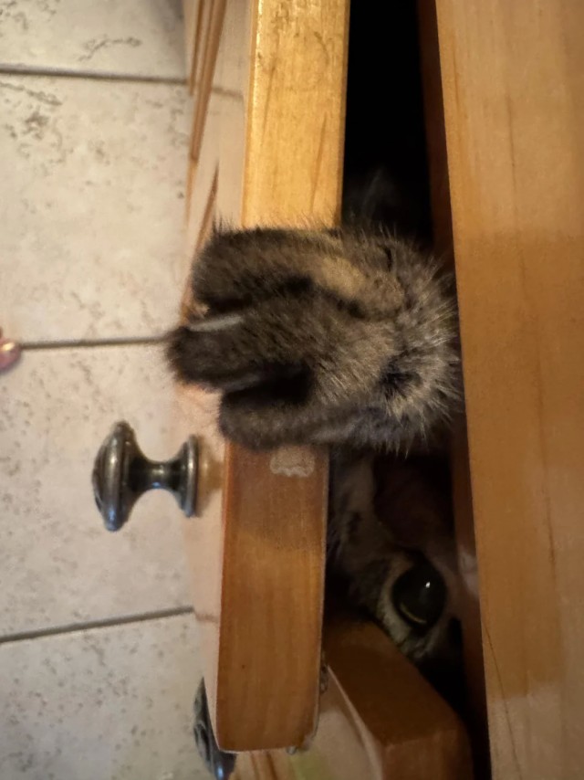 Наташа, где мой жрац?