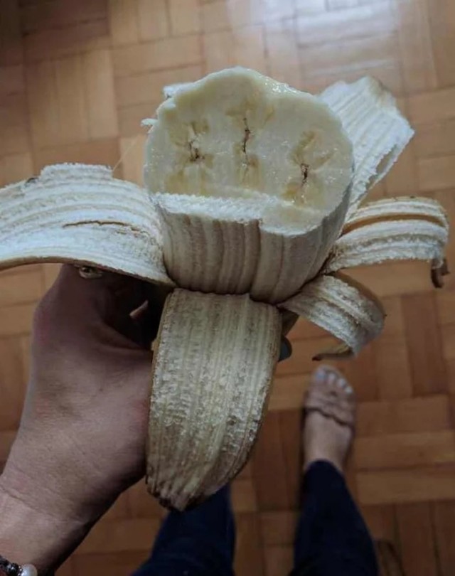 Занятные и необычные снимки покажут, что красота мира скрыта в мелочах