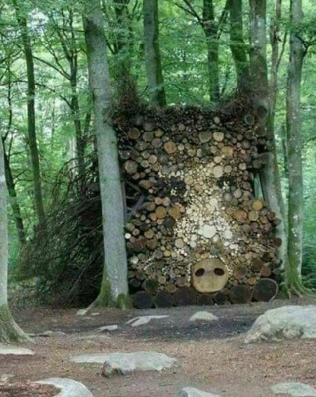 Пятничные картинки