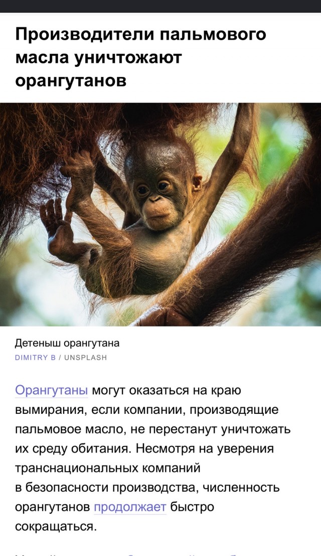 5 мифов о пальмовом масле, в которые многие верят. А зря