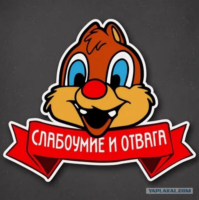 Безумные европейцы едут по России