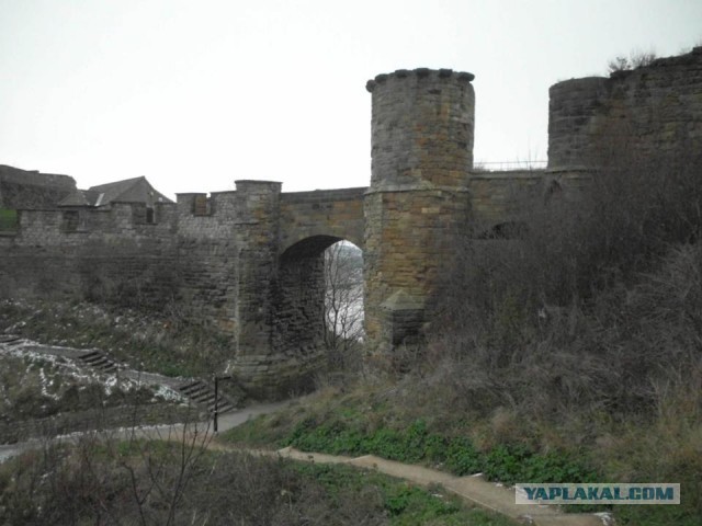 Албания 2013
