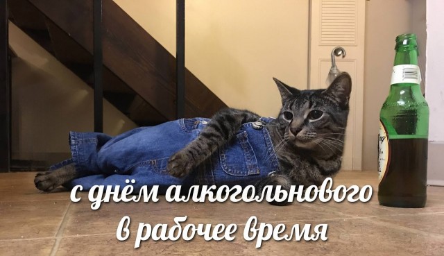 Сегодня отмечается Международный день алкоголя в рабочее время