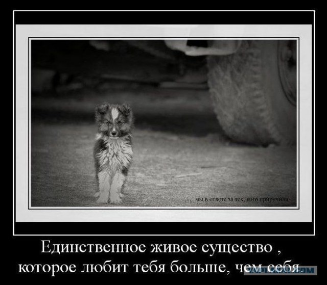 Подборка демотиваторов вам на радость (44 шт)
