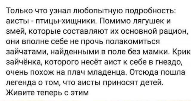 Аисты