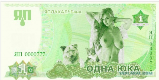 Юкка зацвела.