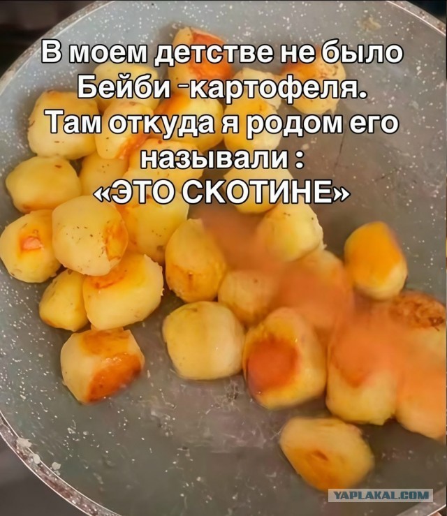 Картинки для деградации 226 (разной степени свежести)