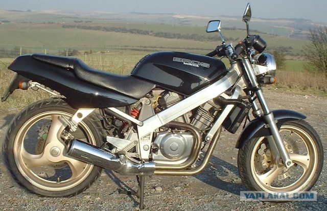 Душа, тело... а скорее просто органы