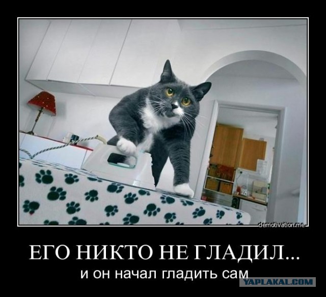 Все тлен