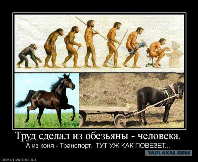 Миражи ипотеки