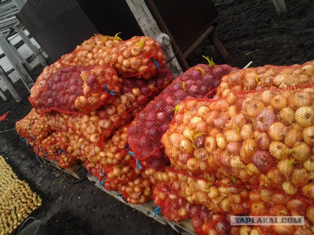 Любителям зелени