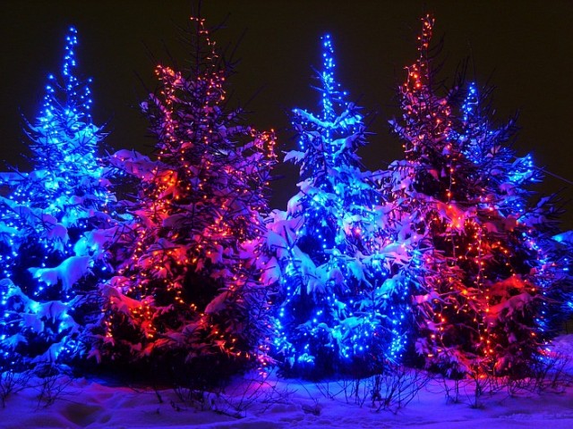 Под снегом!