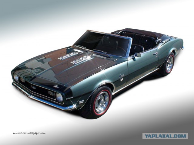 Muscle cars. История сумасшествия