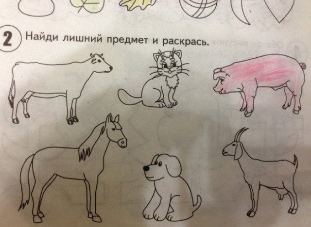 Маразмы из школьных учебников