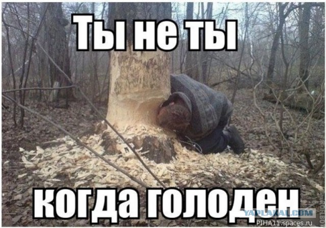 Пять самых вредных продуктов, которые не стоит есть