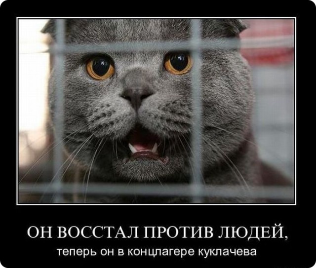 Юрий Куклачёв довёл детей до слёз.