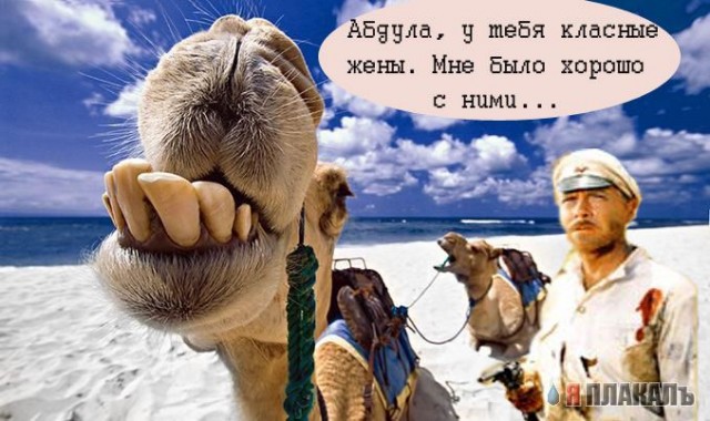Харашо што мы не пашли за пенгвинами...