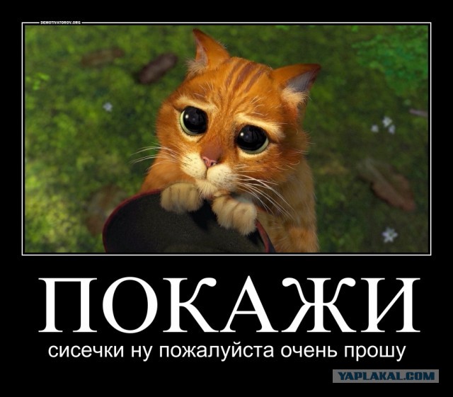 Песня о любви. Поехал в Венесуэлу и привез красавицу-жену