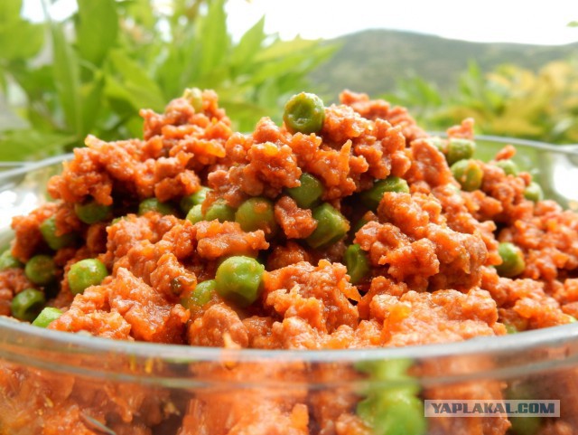 Фастфуд-пикник на день рождения ЯПа