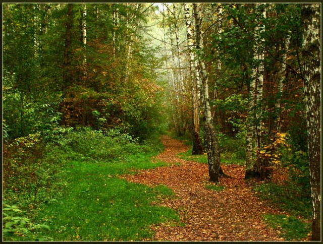 Осень