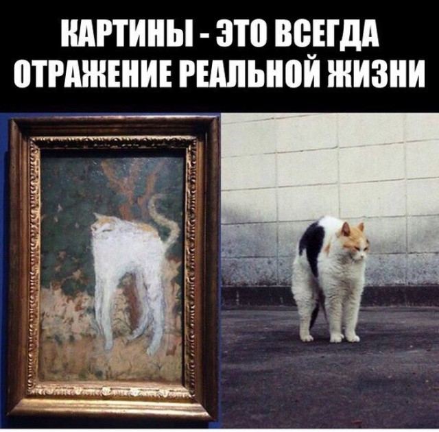 Забавные картинки