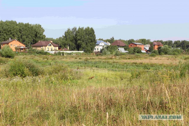 Как могла бы выглядеть русская деревня под грузом европейских ценностей