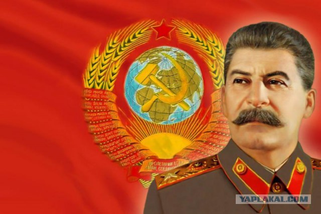 Сломала врачу скорой нос в отделе полиции