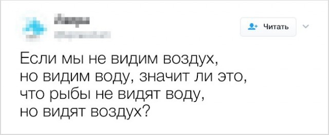 20 твитов от людей, у которых накопились вопросы к этой странной жизни