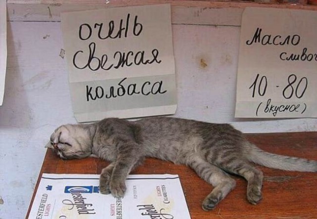 Прикольные надписи и объявления