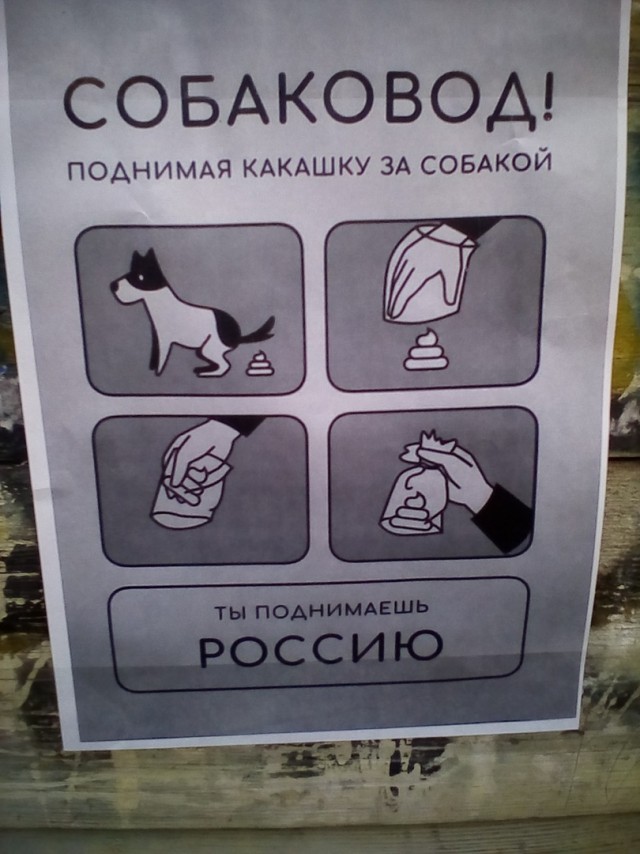 Послушайте меня, собачатники!