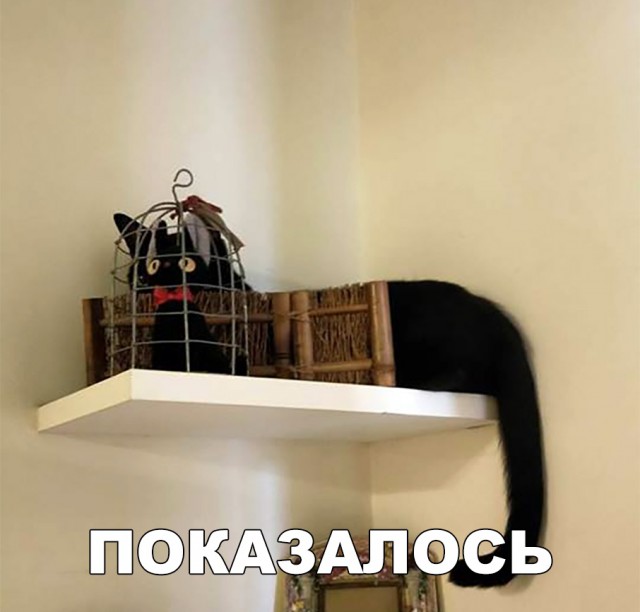 Прикольные картинки абавсём